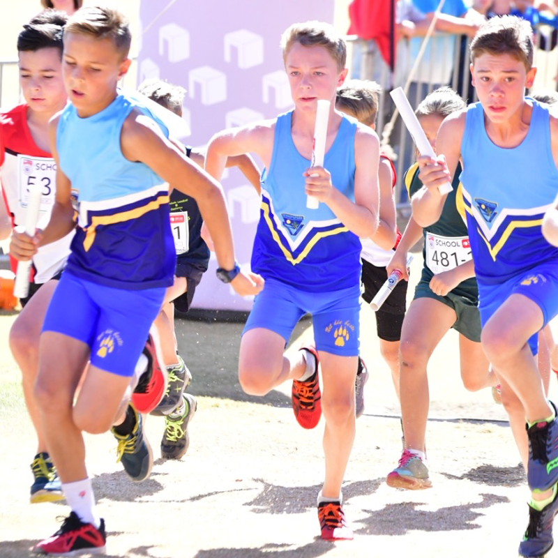 Festival of Running tweet media