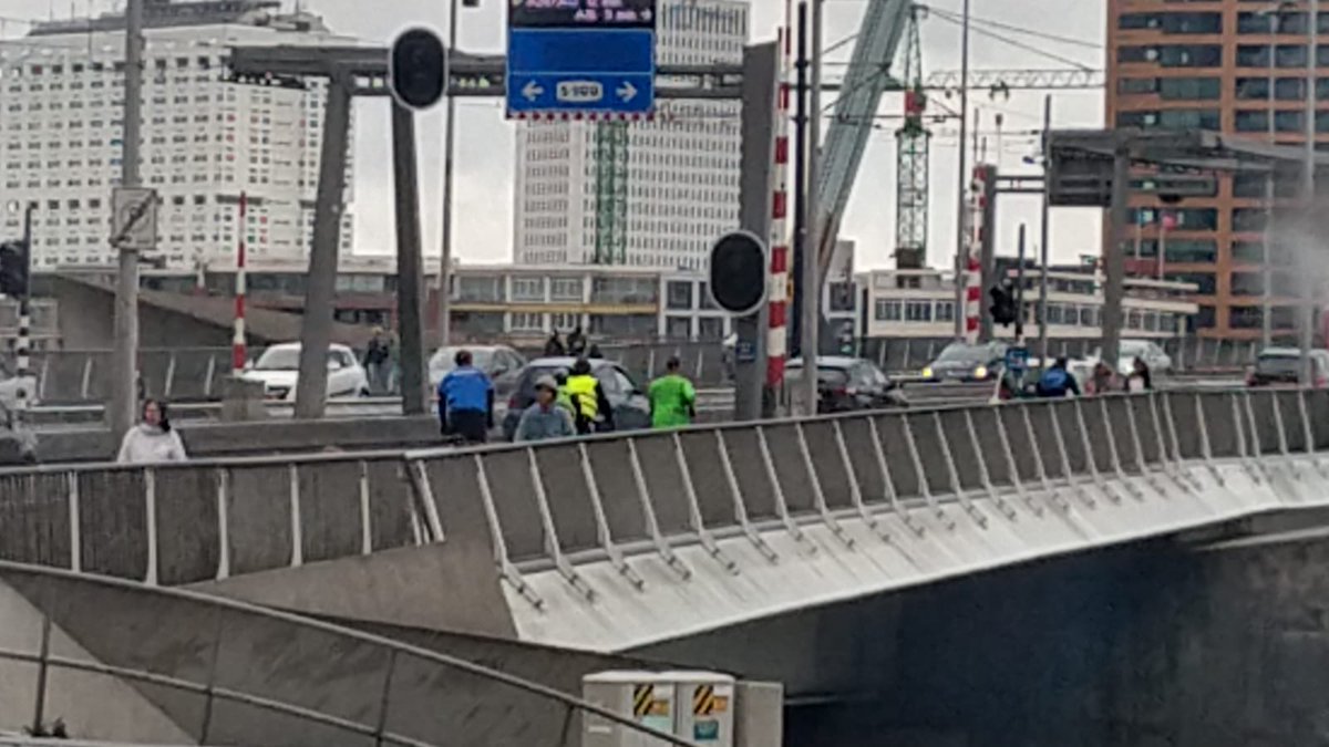 delft_q's tweet photo. En de Erasmusbrug ligt ook alweer achter ons. Laatste etappe! #Maaslandloop https://t.co/vNa3IiQ0C0