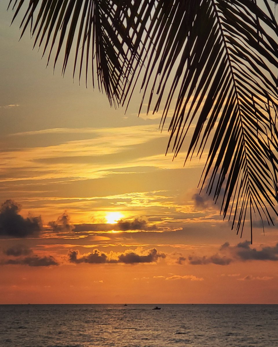 andrighetti35's tweet photo. #morningzenwithjenn #SaturdayMorning #morningzenwithjenn #sunrisethismorning #lovefl #saltlife #myserenity #nature #pompanobeach #southflorida #Sunrise #riseandshine #beach @ShareALittleSun @LissetteCBS4 @visitlauderdale @weatherchannel @PompanoWeather https://t.co/SiXrcvq6Xc
