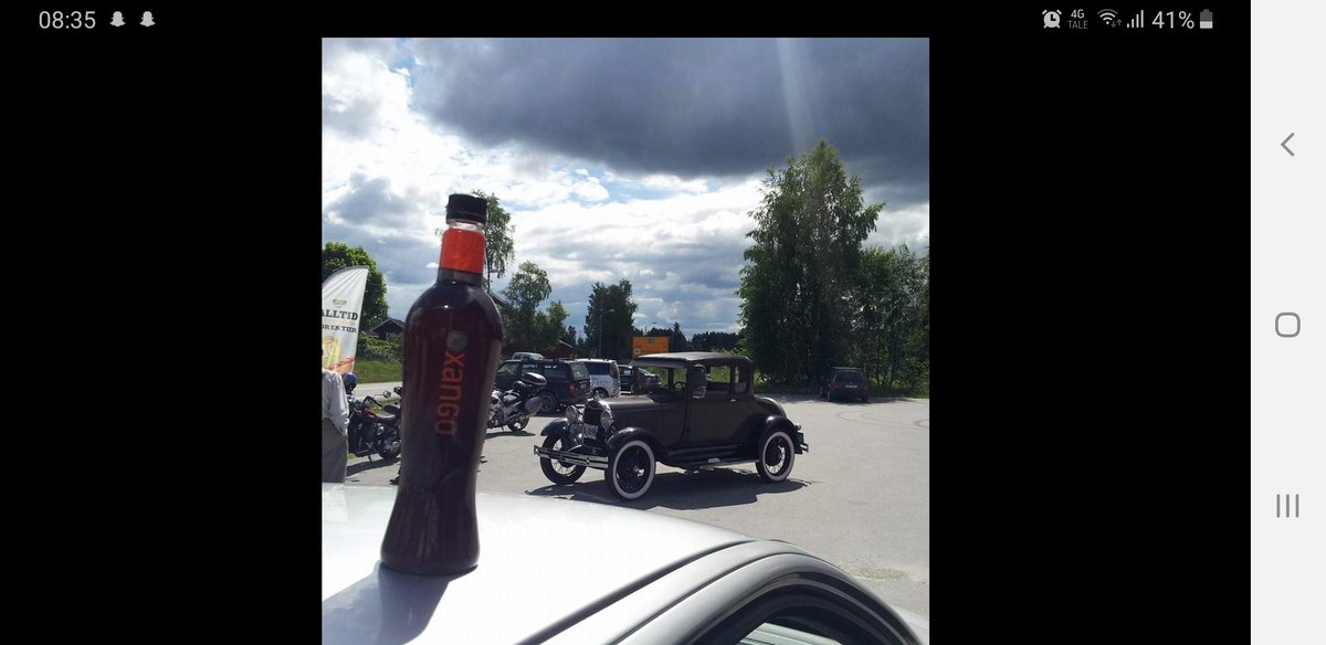 eli_viksmoen's tweet photo. Xango Norway back on track https://t.co/FSIKfX7UBC