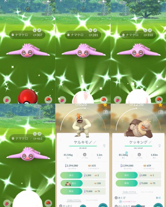 ケッキング みんな技解放する のしかかりvsじゃれつく みんなのポケgo みんポケ