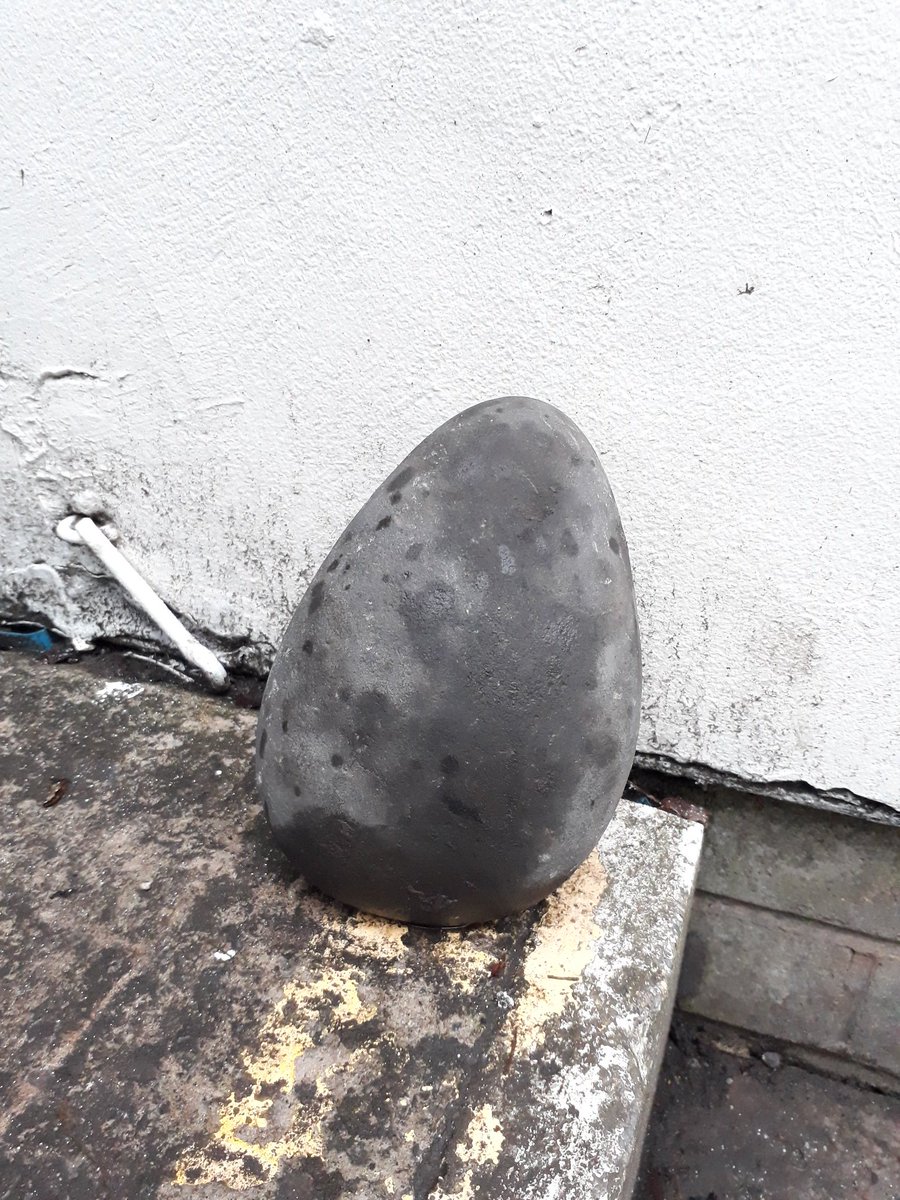 tarporleycubs's tweet image. Weather report live from camp....

The #Weatherstone shows it must be drying up

#LightDrizzle