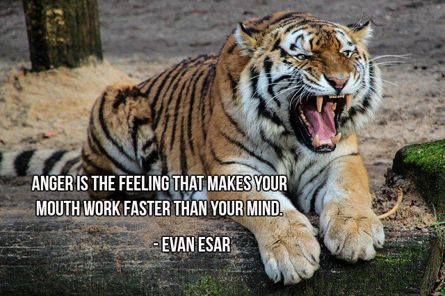 annemariayritys's tweet photo. Anger is the feeling that makes your mouth work faster than your mind. - Evan Esar #quote https://t.co/Tx7N7JaX4r