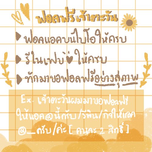 ฟอลฟรีเจ้าตะวัน tweet media