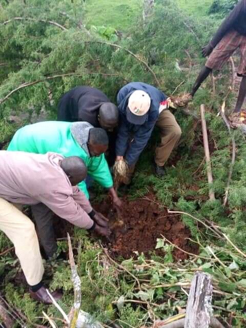 PokotYouthBunge's tweet photo. Highland parts in Pokot South Sub-county facing massive Landslide during Heavy rainy season.
ACTION for plantating #Trees is needed to end this disaster. @WPCGovernment @ClimateReality
@AndrewWachelon @KeForestService @Johnlonyangapuo
#enhancingClimatechangeResilience https://t.co/1pyneimtkk