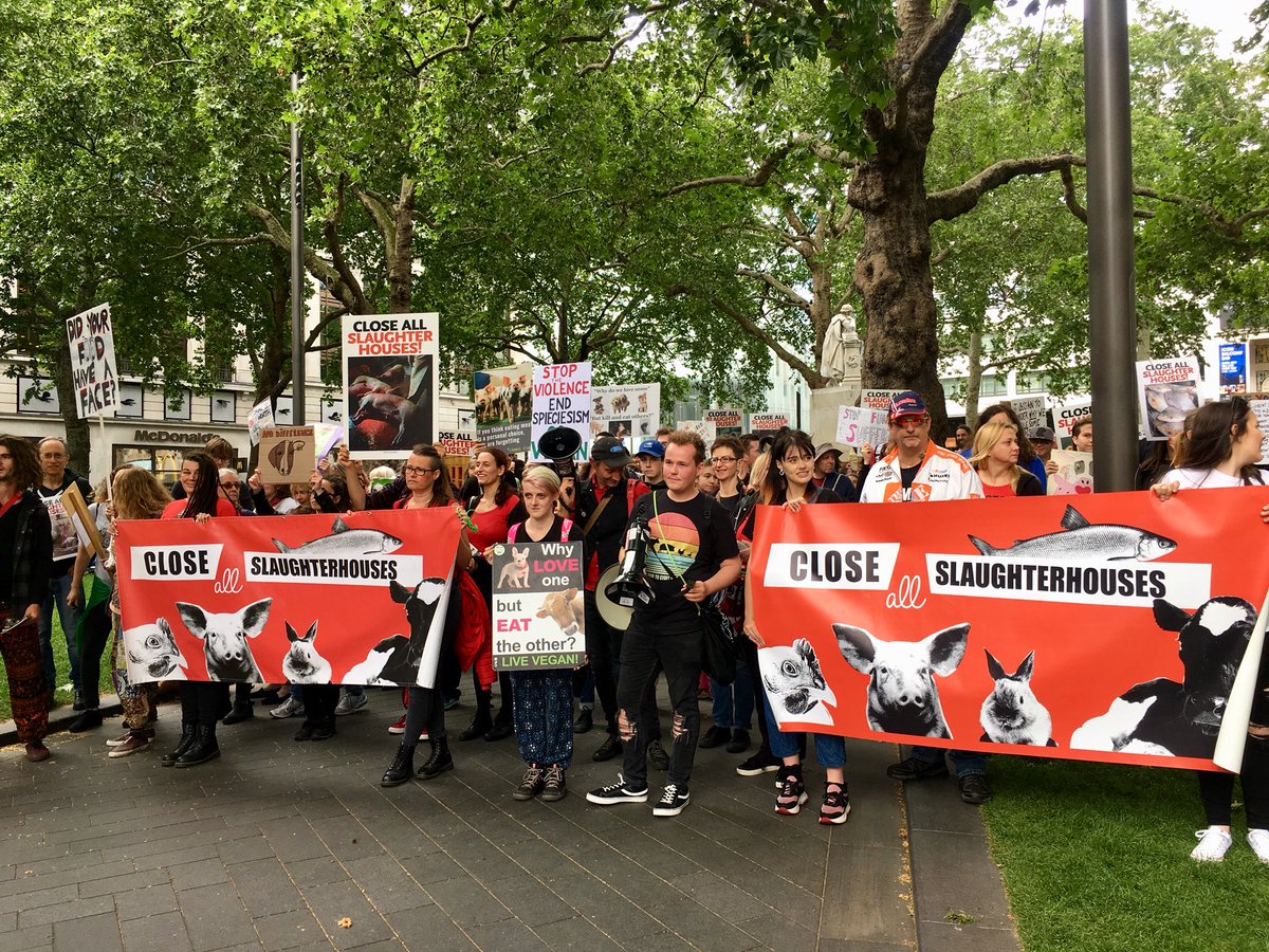 AnimalsCount's tweet photo. Making the case that animals’ lives matter with this strong turnout at the March to Close All Slaughterhouses today in central London. #MTCAS #StopSlaughterhouses https://t.co/sBVvi5h1rg