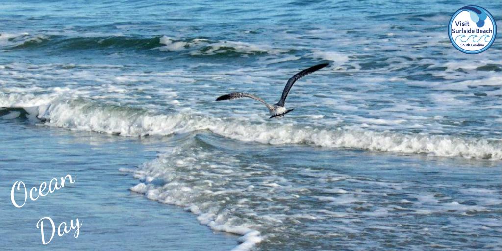 Visit Surfside Beach tweet media