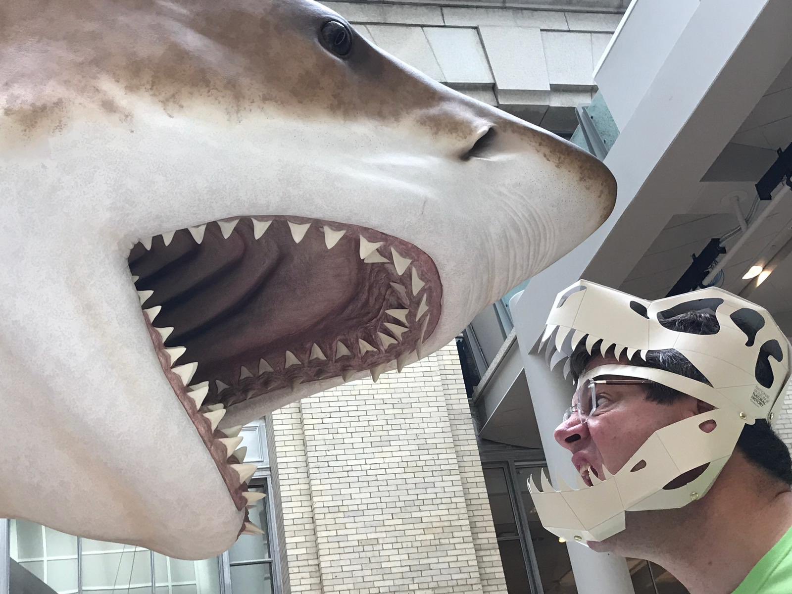 T Rex Vs Megalodon