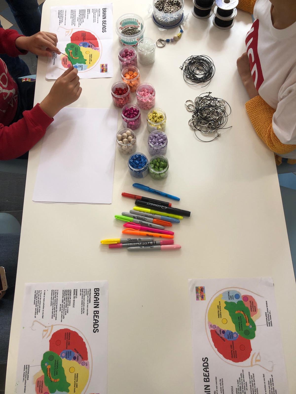 UCD Babylab on Twitter: "Make a key ring or bracelet of the parts of your  brain, do some colouring, or play our fruit stroop game! #UCDFestival  #HelloUCDPsych #UCDPsychStories https://t.co/ruqfZOZsvZ" / Twitter
