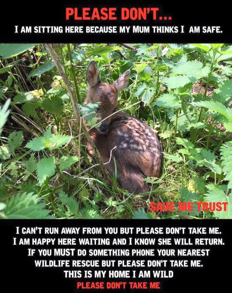 Sean Cronsberry tweet media