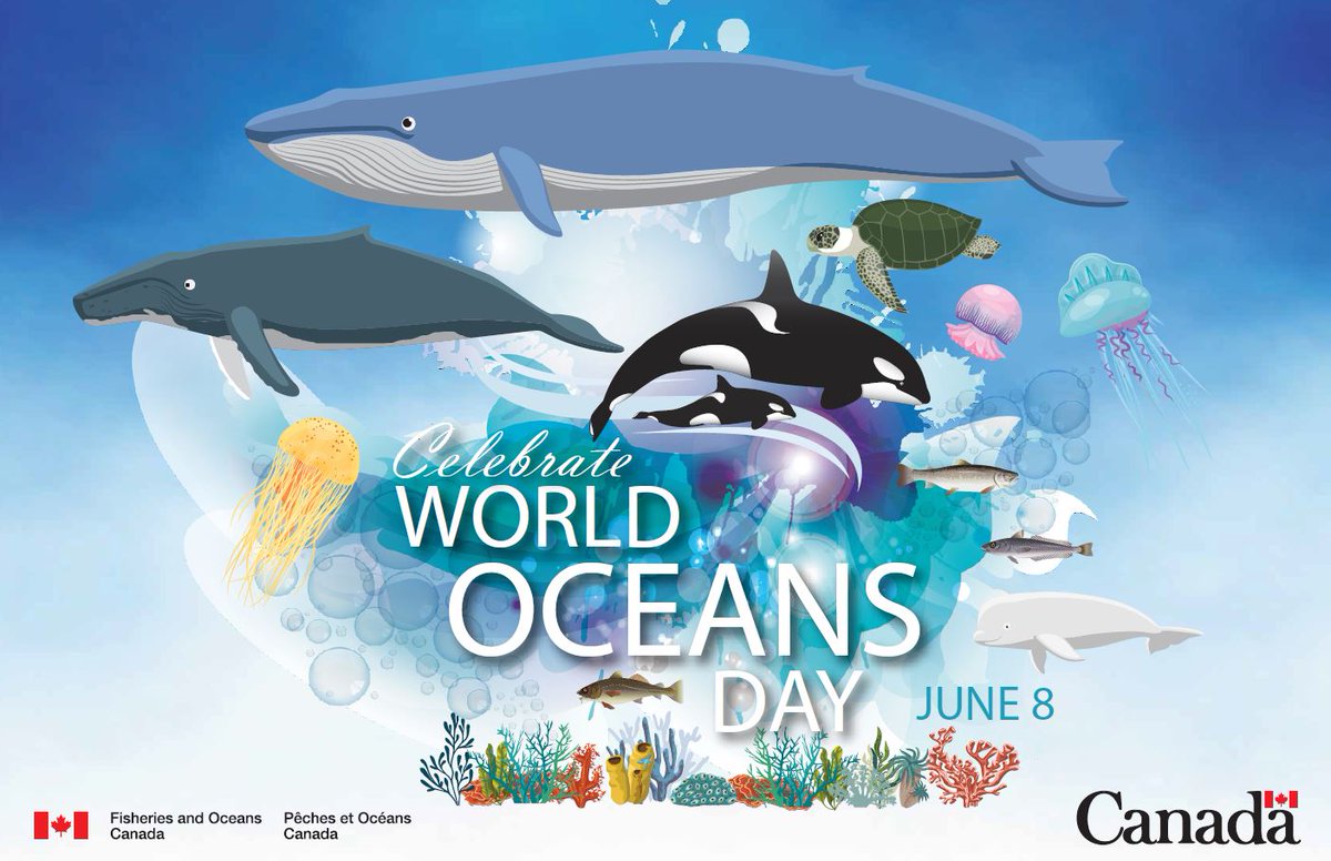 FishOceansCAN's tweet photo. Happy #WorldOceansDay! No matter where we live, we’re all connected to our oceans. Discover why our oceans are so important and how you can make a difference. https://t.co/Erq2S9kf30 https://t.co/7Jz5ymoDwz