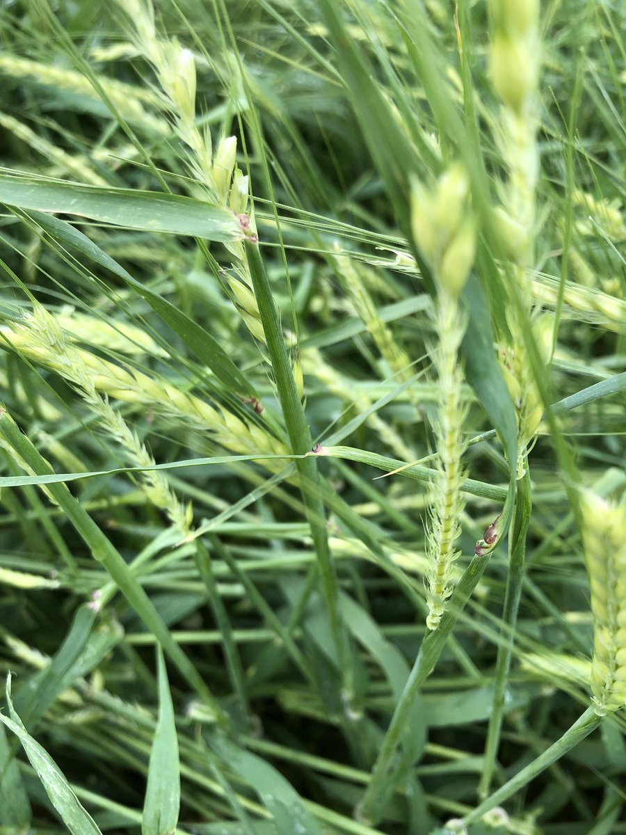 Geraud Decock tweet media