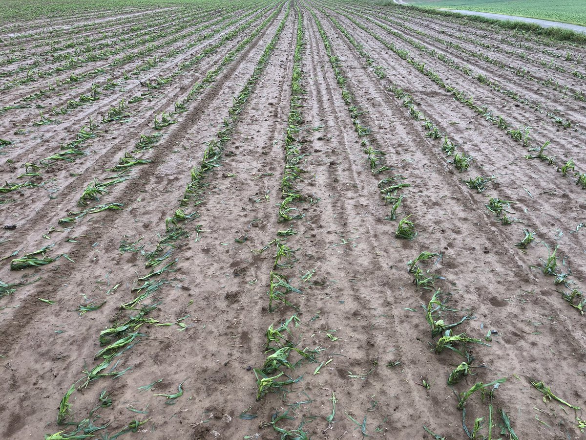 Geraud Decock tweet media