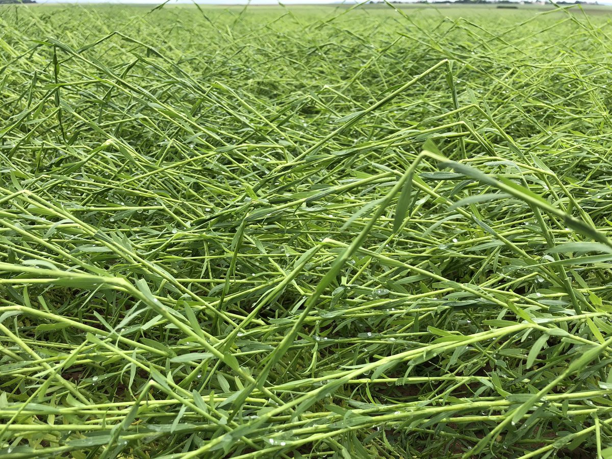 Geraud Decock tweet media