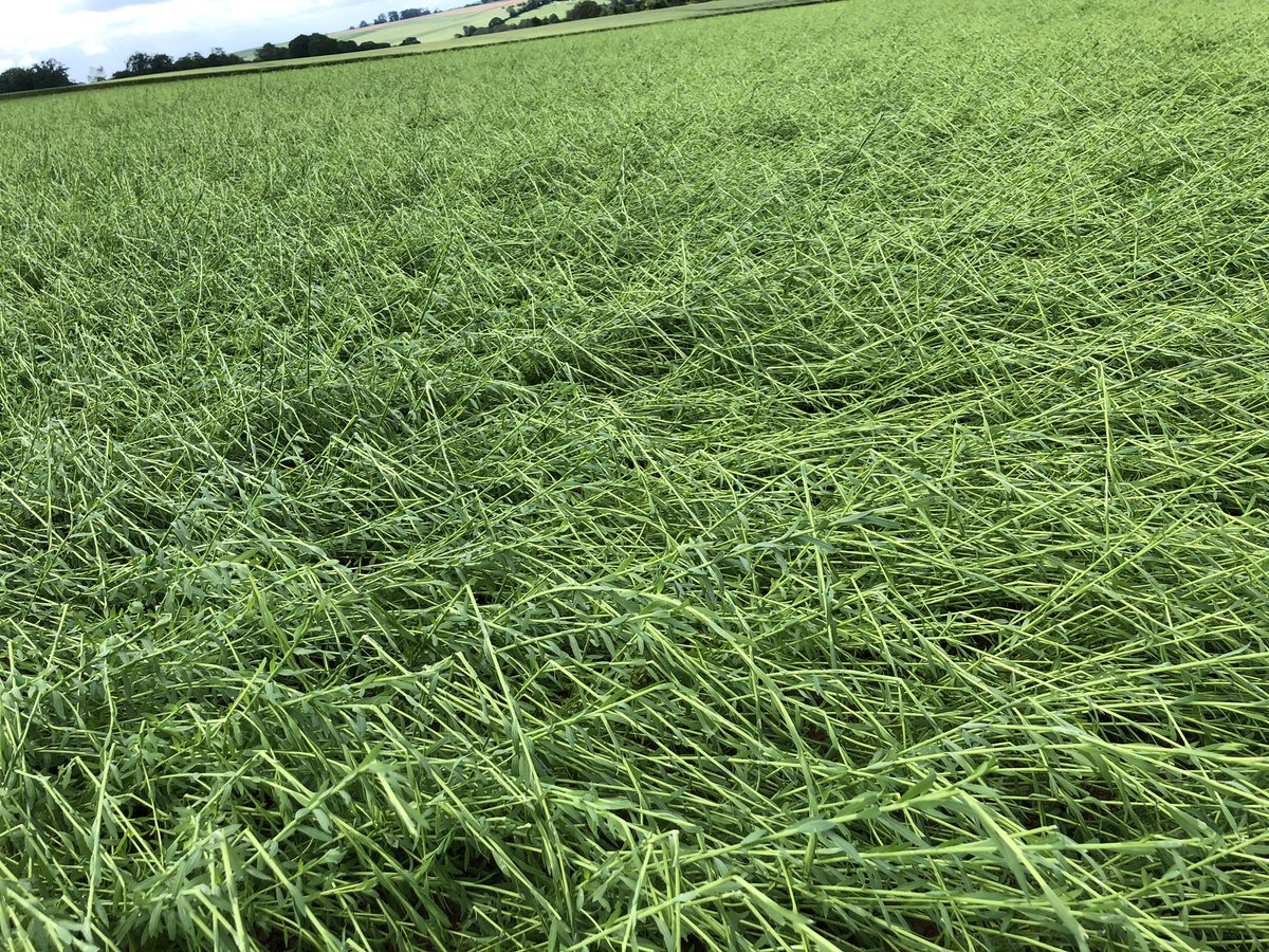 Geraud Decock tweet media