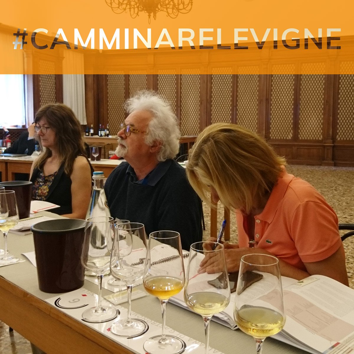#CamminareLeVigne
Continuano le lezioni del secondo weekend formativo.

#AltaScuolaVeronelli
#PatrizioRoversi