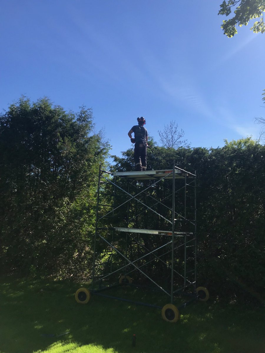 phhermans's tweet image. Gotta love nephews that are in the tree business ! Poor Dutchman boom works great. #WeekendWarriors #HedgeTrim #NewBeard