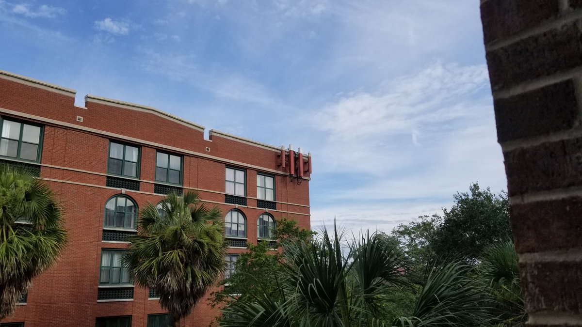 DigitalCAPS's tweet photo. They are getting good at blending Lowe's cell phone towers into our environment. https://t.co/KkEZi1qfoq