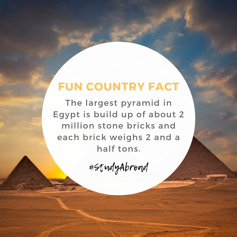 We ❤️ Interesting Fun Facts! #studyabroad #Egypt2019