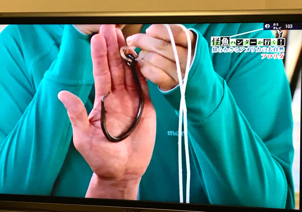 伊藤 A Twitter ਊ ついにゴライアスグルーパーに挑戦するんや ゴライアスグルーパーはヤバい デカすぎるから ははは 怪魚ハンターが行く