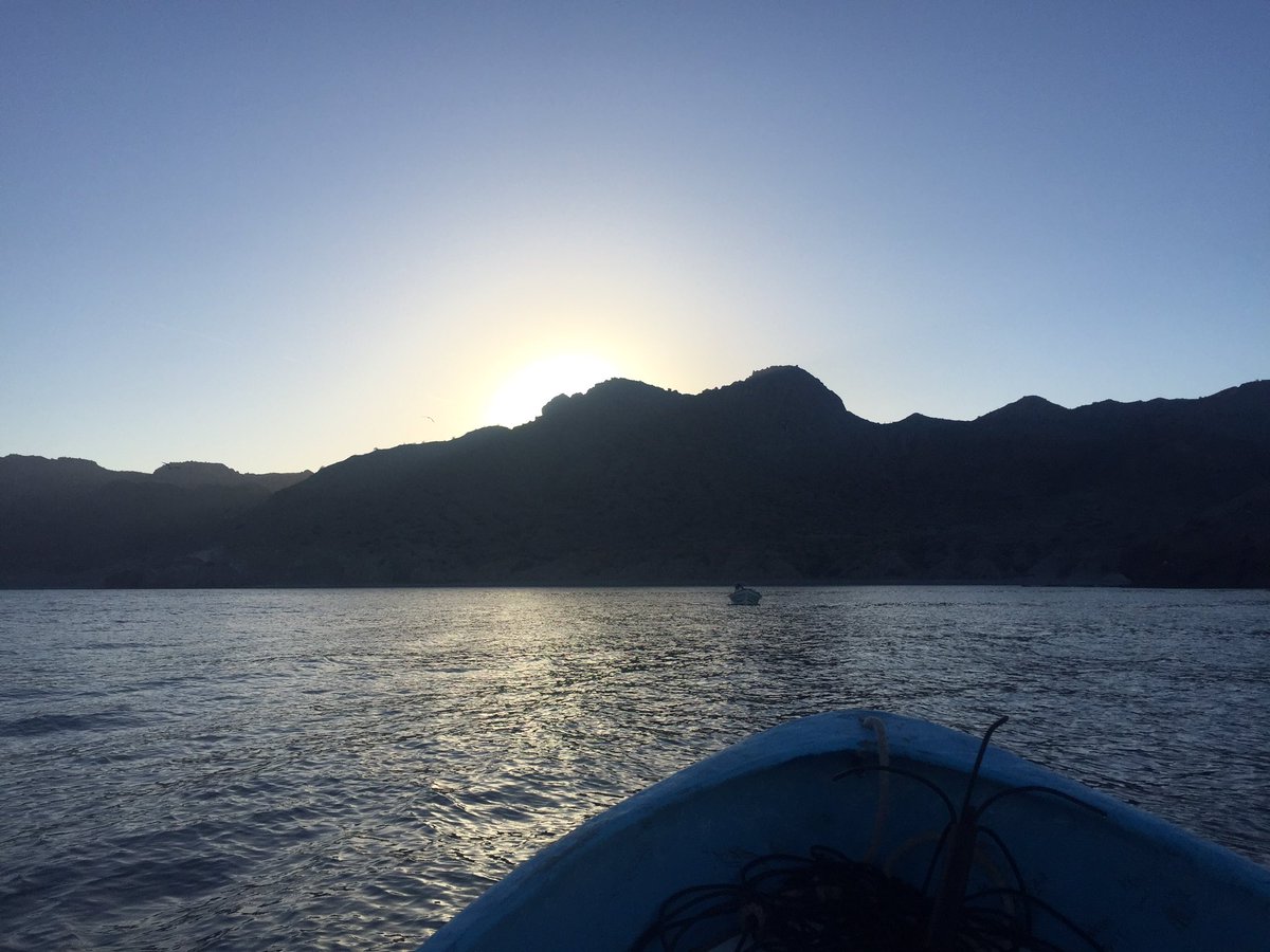 #yoporlosoceanos 🌊
Llevo un año dedicándome a salvarlos, he aprendido tanto de quienes de él viven y de quienes lo defienden.
Ahí empezó la vida y de ellos depende que continuemos en este planeta. #DíaMundialDeLosOceános