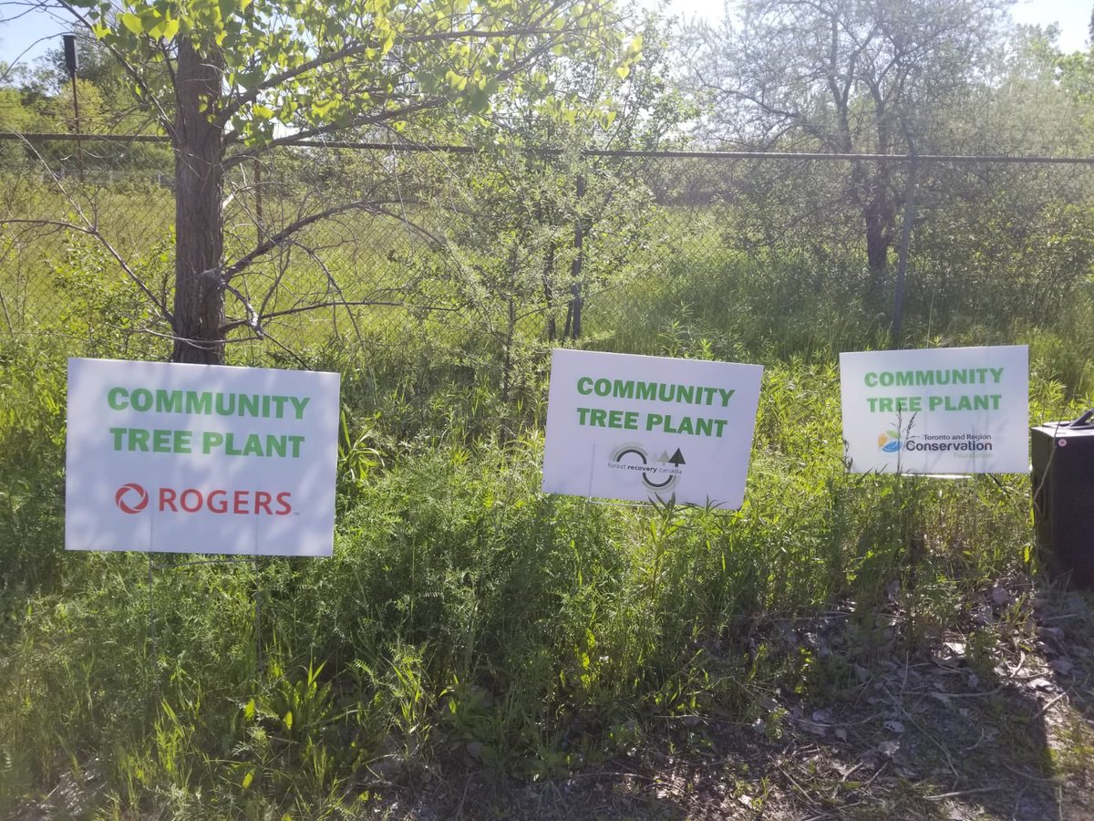 forestscanada's tweet photo. Hannah &amp; Augusta are at @TRCA_TTP with @Rogers this morning as part of our invasive pull &amp; pollinator habitat plant #GiveBack #GiveTogether #LifeAtRogers #ForestRC https://t.co/jEOC8z4BR2