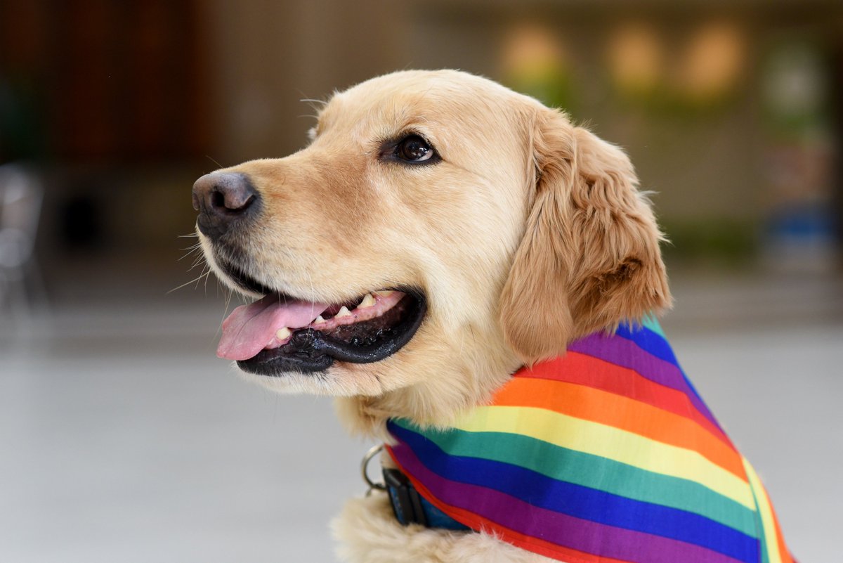 HenryFordHealth's tweet photo. Looking our best for #MotorCityPride! 🌈💜💛💚💙❤️ https://t.co/Up1jo3MYsj