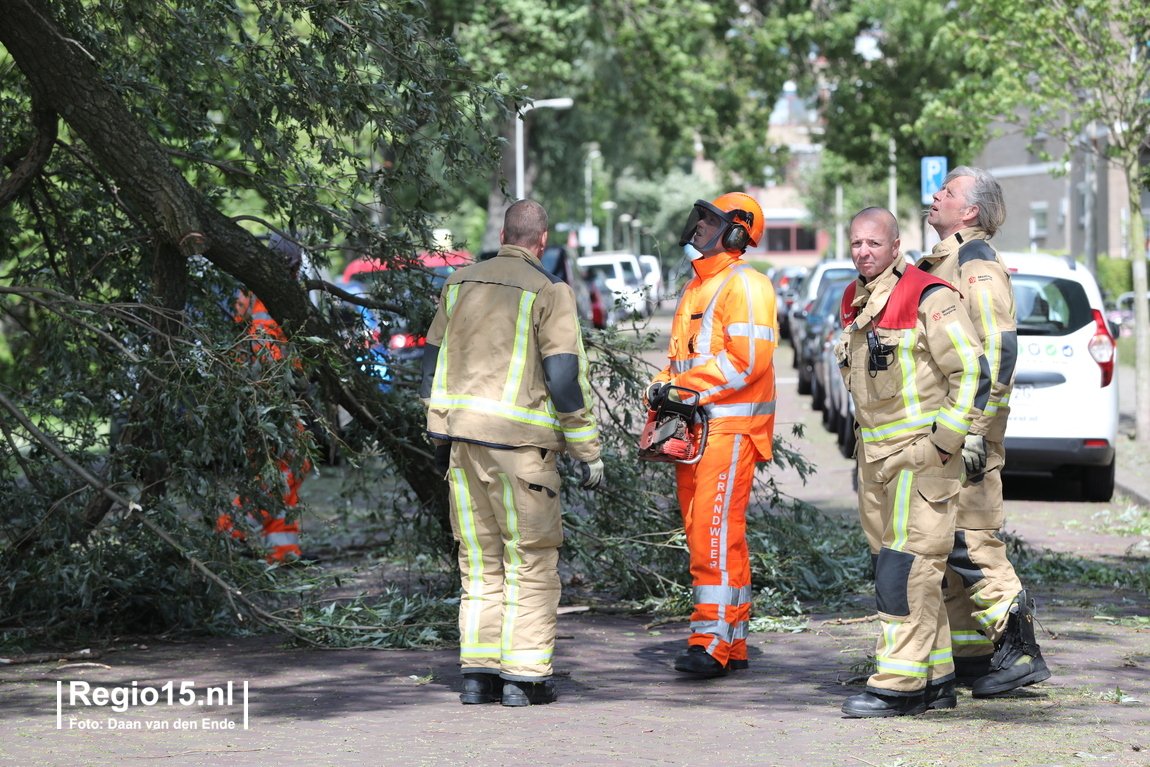 regio15's tweet photo. In de #Gaarde in #DenHaag is een grote tak van een boom afgewaaid. Een auto heeft flinke schade opgelopen. https://t.co/4EikJxiNlP
