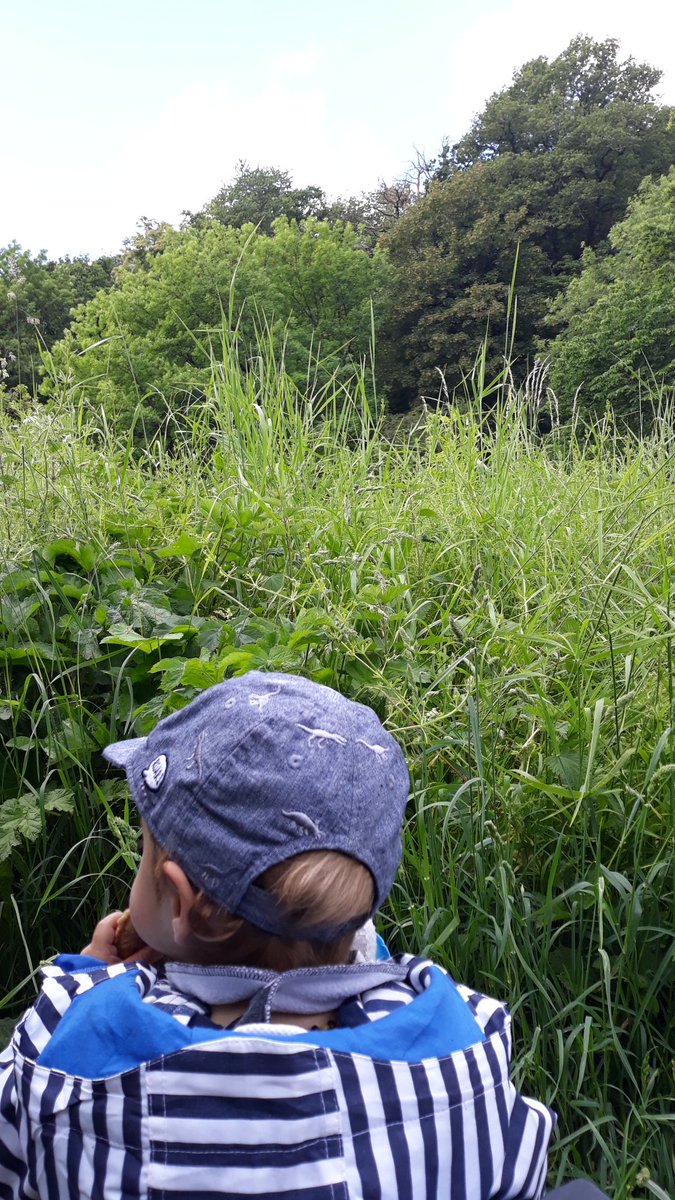 GrubbyBubba's tweet photo. Day 8 of #30dayswild and I took my mates to visit the heronry at #conham #Bristol . As close as we could get to the sea on #WorldOceansDay . Lovely spot for a snack! https://t.co/LmdtIJdIRV