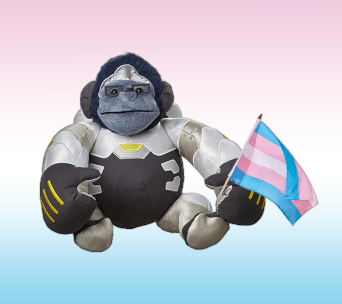 monkyow's tweet photo. trans rights! https://t.co/Ifmi33reES