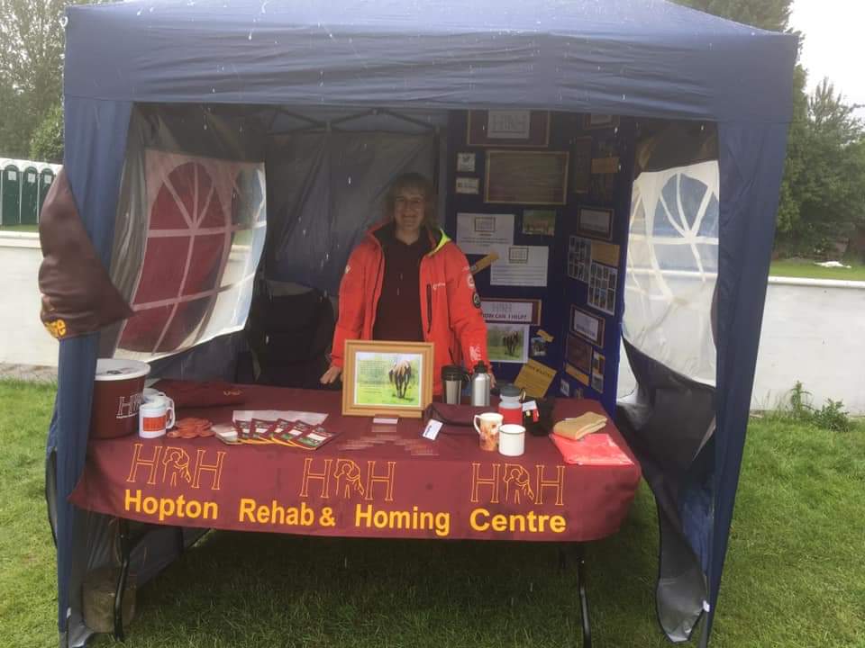 HoptonRehab's tweet photo. Crumbs we get out and about. This was our stand at #SFest today in memory of Katie Flowers. Thank you for your support https://t.co/QuQYMCSF06