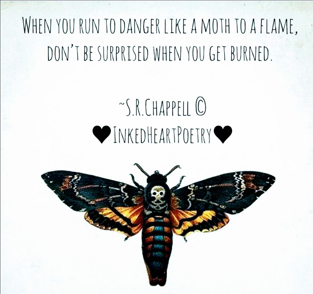 SRChappell's tweet photo. #MothToAFlame #danger #GettingBurned #quoteoftheday #quotes #micropoetry #poetry #poetrycommunity #poetrylovers #DeathsHeadMoth #TonyLaddArt #writingcommunity #SRChappell #InkedHeartPoetry♥ https://t.co/aNLUcupMoi