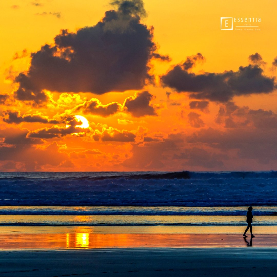 EssentiaHotels's tweet photo. Enjoy the golden hour this weekend at the beaches located in the vicinity of  Essentia Dona Paula Goa! To know more, please visit our website:

https://t.co/84lDgA9FLo

#essentiahotels #essentiadonapaula #goa #goahotels #goatourism #sunsetbeach #sunkissed #goldenhour #ocean https://t.co/dUeUtT1nqF