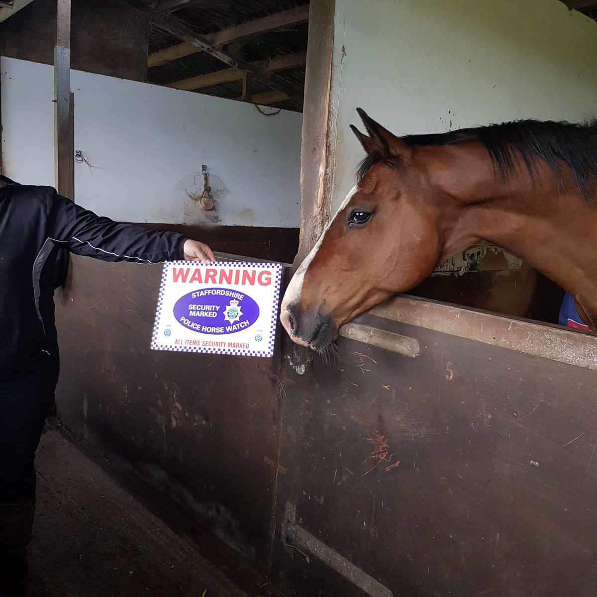 StaffsPoliceRWC's tweet photo. Someone's being nosey during our #securesaddles Tack Marking Event this morning!! https://t.co/GwCN9ilkfm