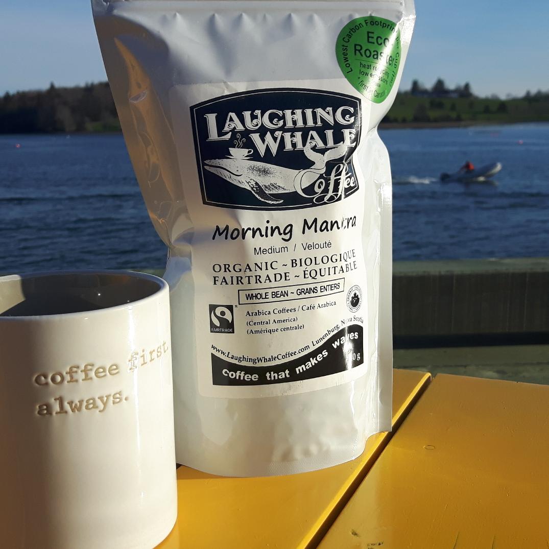 The sun is out! Quick, get oudoors before it rains again and don't forget the coffee! #hellosunshine #coffeeandsunaremyfriends