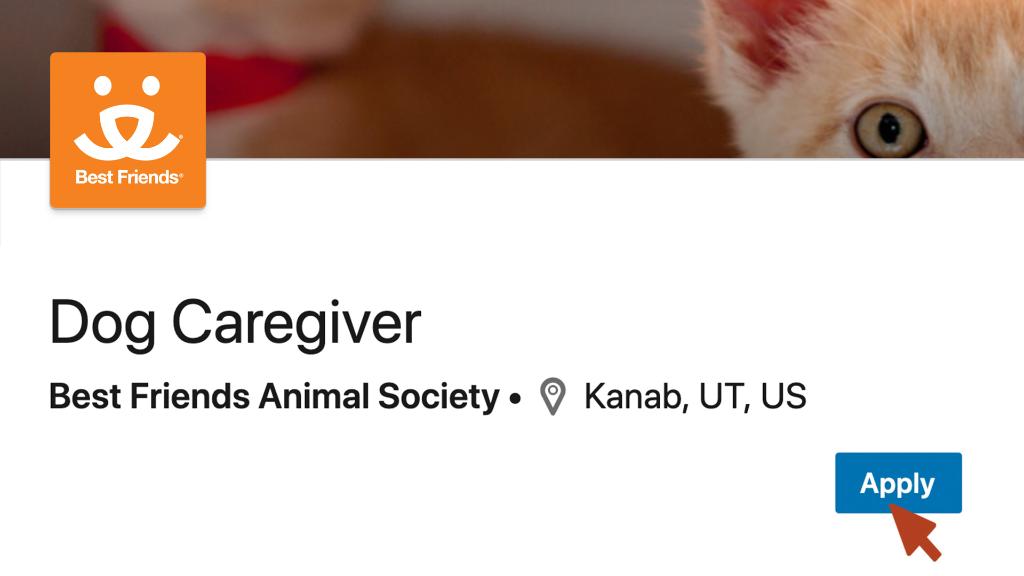 It’s #BestFriendsDay so naturally we found a job where you’ll be surrounded by them. Apply to be a dog caregiver with <a href="/bestfriends/">Best Friends</a> today: lnkd.in/eTiYv-i
