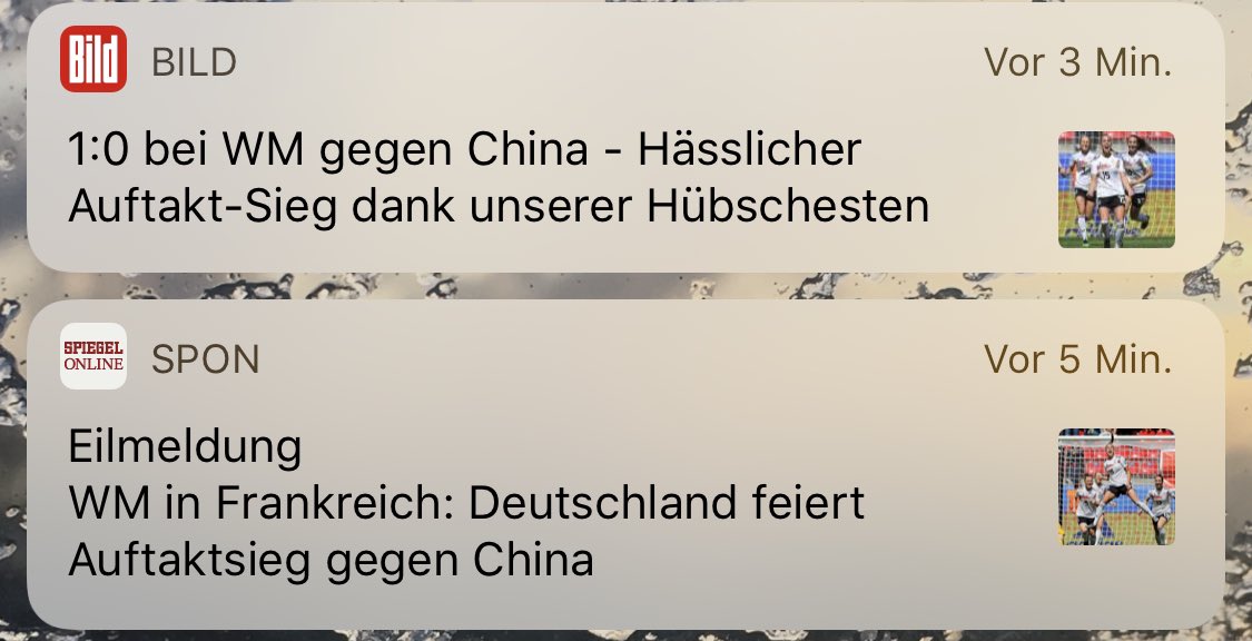 DerMestermann's tweet photo. Das ist der Unterschied. @SPIEGELONLINE ❤️ #WM2019 #GERCHN https://t.co/OlDxjG0jZZ