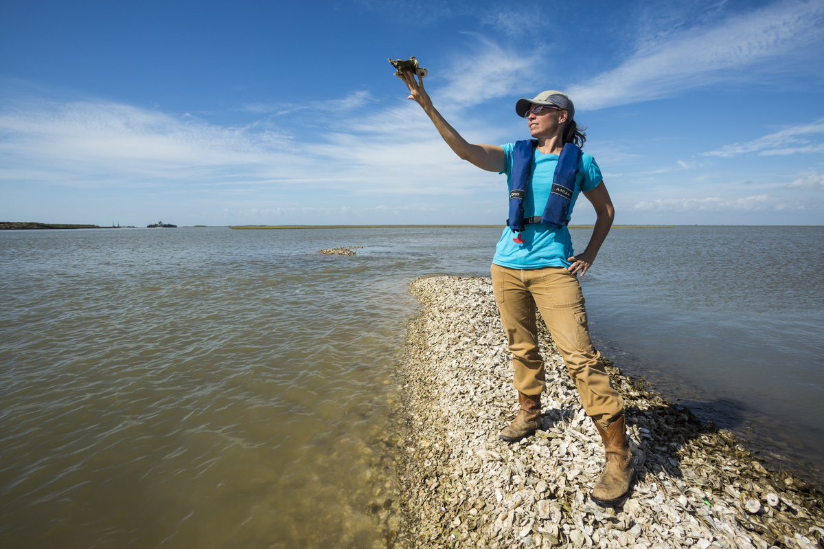 MaryKayGlobal's tweet photo. RT if you💙our ocean! We’re excited to partner with @nature_org to develop a sustainable fisheries program to restore aquatic ecosystems. Featured: Julie Sullivan- The Nature Conservancy Coastal Restoration Project Manager ©Jerod Foster @nature_tx #WorldOceansDay #PinkDoingDreen https://t.co/BhBJkkV0jr