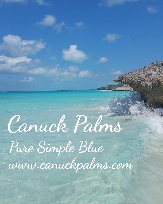 .
Make it a beach day 💧💧
.
@canuckpalms .
.
.
.
.
#vaca #beach #beachlifestyle #island #islandholiday #starfish #seastar #travelgram #travelbloggerlife #traveldiaries #tripadvisor #darlingescapes #travel #blogger #luxtravel #ladiesgoneglobal #exumas #50shadesofblue #workhard…