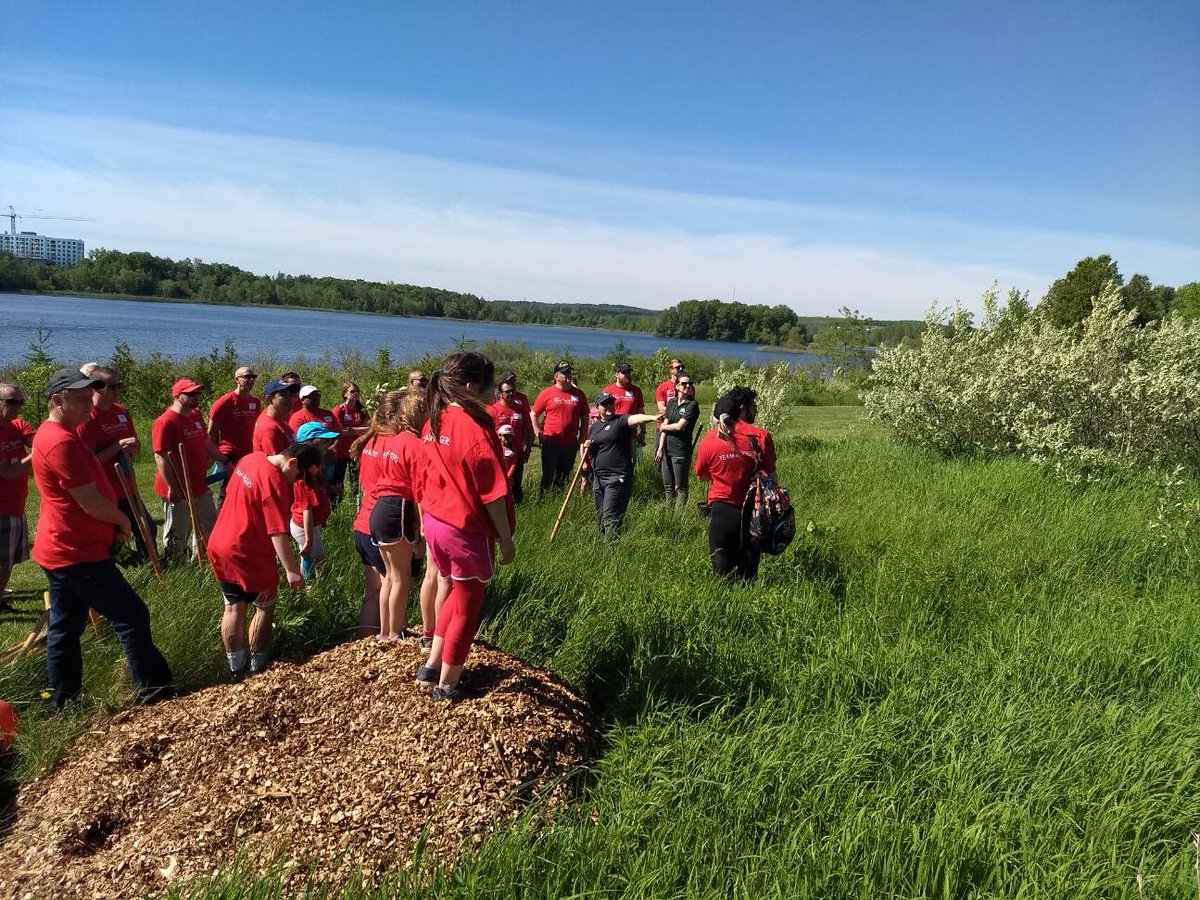 forestscanada's tweet photo. The Kitchener @Rogers #GiveTogether event has over 40 volunteers helping us plant trees in the community! Great way to #GiveBack #ForestRC https://t.co/S8V30diUZ0