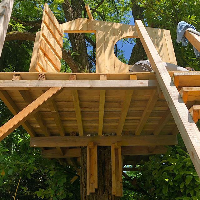 mccormacknoble tweet media