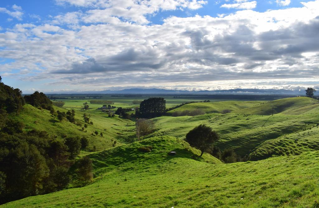 CannabisIndy's tweet photo. Check out this amazing #SmokeSpot! #KeepOnToking #420 https://t.co/e0xBlCLdzn