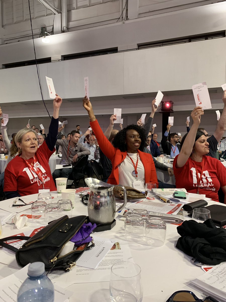 MitzieHunter's tweet image. 57% of delegates voted for change on how our party elects our leader. This is the start of a movement in the Ontario Liberal Party. We will keep this movement going because it is time we #reconnect, #revitalize, and #reboot. #ONPoli #ScarbTO #OLPAGM