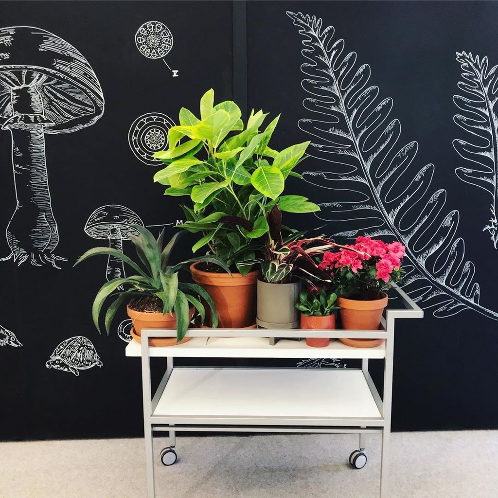 MakeAndCompany's tweet photo. Lots of super fun, new and exciting projects and people happening over here. Been a bit since we posted, but we’ll have full updates and introductions soon. 🌱 🍄 🌺 👋
-
#makeandco #muraldesign #interiormural #muralart #muralbymake #fun https://t.co/2RN2VhaRni https://t.co/IEXDXJtOOd