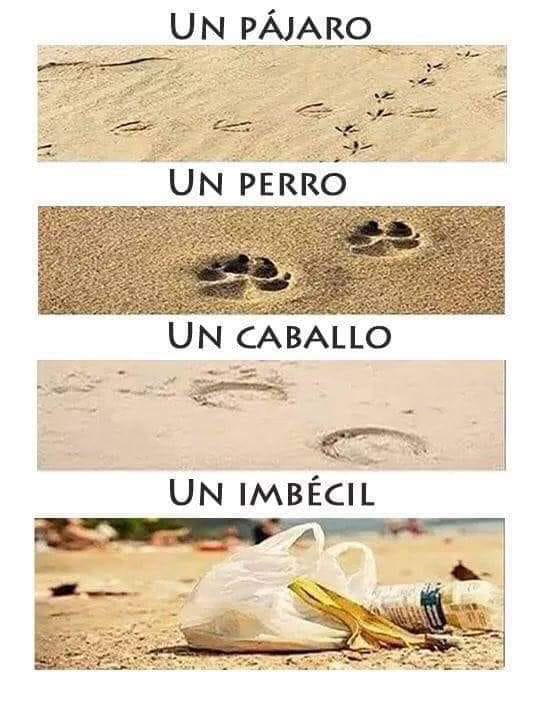 Saturnino69's tweet photo. #SavethePlanetfromIdiots https://t.co/wugukiZtuL