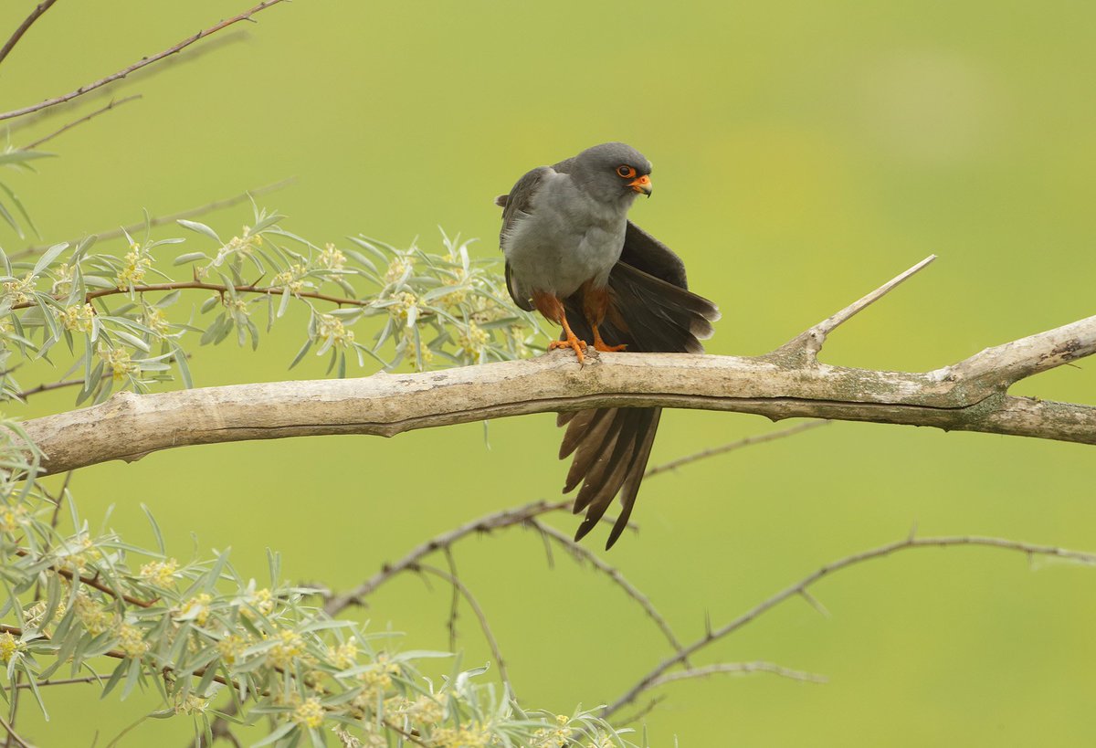 online cause and meaning in the