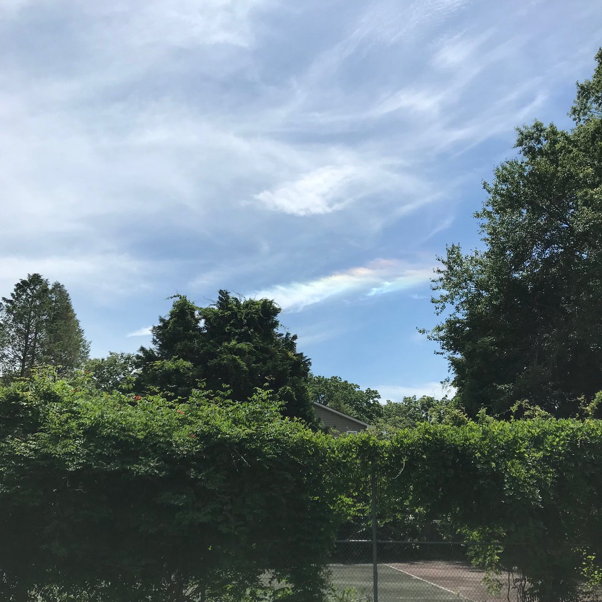 Hi Weather Experts: Currently right now up in the sky, Are these once again (just like 2 wks ago) the extremely rare “circumhorizontal arcs”? (Haddonfield, NJ🇺🇸) ||PC:<a href="/ToniMuskett/">Antonia Caruso 📷</a> #TONI🇺🇸 || #weather #philly #nj #channel10news #weatherchannel #SaturdayThoughts #weatherexpert