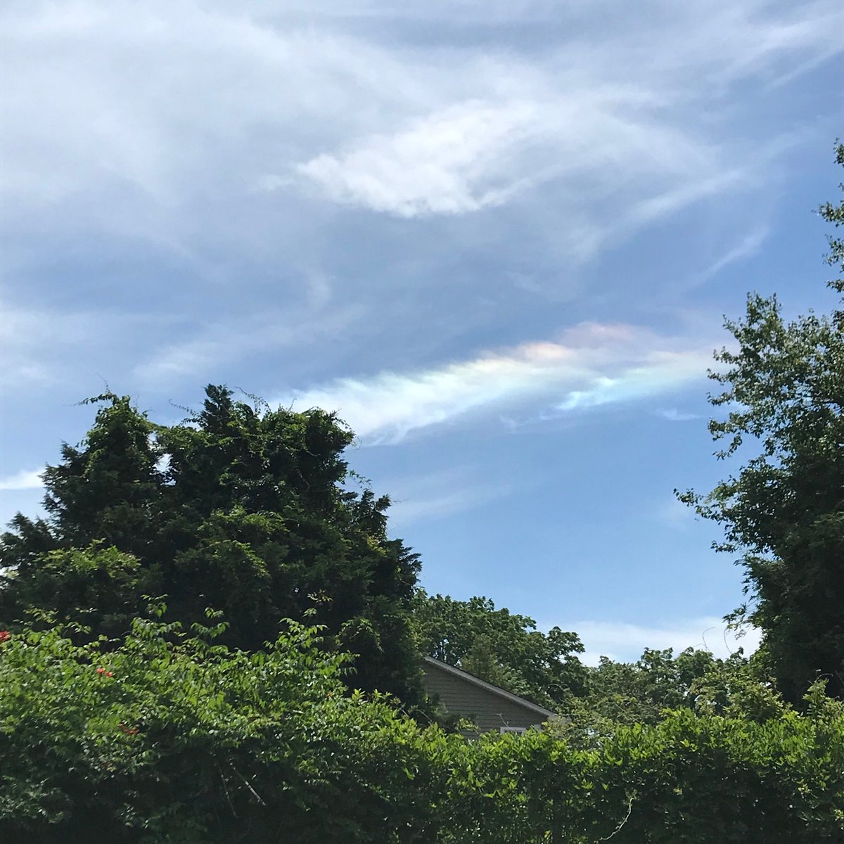 Hi Weather Experts: Currently right now up in the sky, Are these once again (just like 2 wks ago) the extremely rare “circumhorizontal arcs”? (Haddonfield, NJ🇺🇸) ||PC:<a href="/ToniMuskett/">Antonia Caruso 📷</a> #TONI🇺🇸 || #weather #philly #nj #channel10news #weatherchannel #SaturdayThoughts #weatherexpert