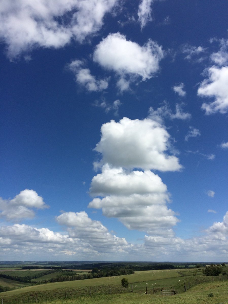 dbgoody's tweet photo. Yesterday #30DaysWild didn’t happen so today’s was walking on the Wiltshire downs #BigPledge #GetOutside #Day8 https://t.co/YQfOAaqd8o