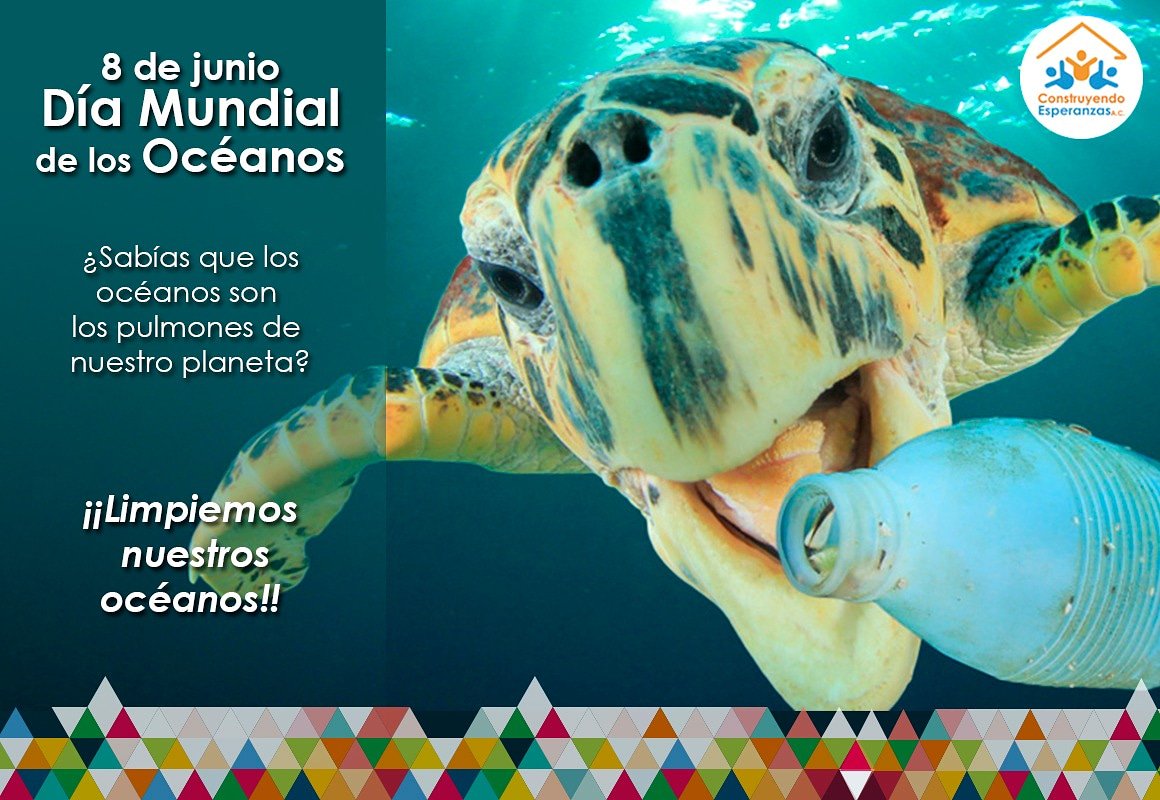 CEsperanzas's tweet photo. ¡¡Cuidemos nuestros océanos!! #díamundialdelosocéanos #planetaverde #cuidatuplaneta #medioambiente #sumemo #unmejormundo #Hidalgo #JuventudHidalguense #piensaverde 🐟🐬🌎💚 https://t.co/z6XUqia2J6